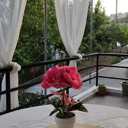 Hébergement de vacances Vasia - Kolympia Rhodes Kolymbia