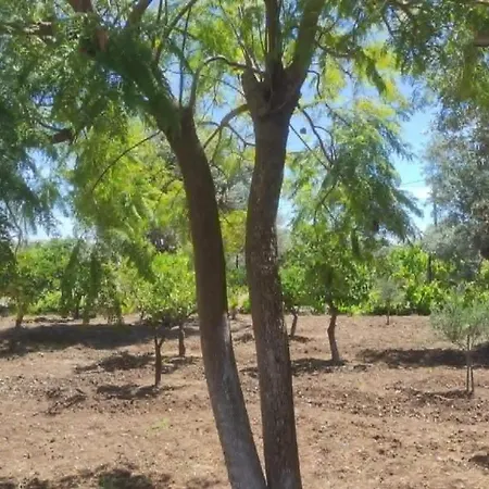 Vasia - Kolympia Rhodes Kolymbia